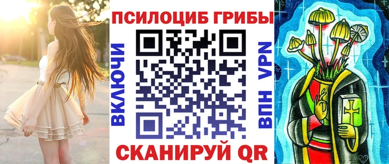 где купить наркотик  Спас-Клепики  Галлюциногенные грибы Psilocybine cubensis 